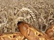 Le Pain de tradition Francaise